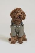 Flotte Boulogne Kaki Dog Raincoat image