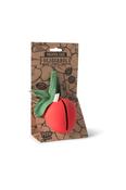 Oli &amp; Carol Pepa the Apple Pacifier Case