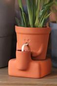 Pikkii The Thirsty Planter image