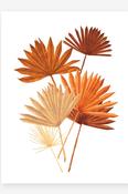 All The Ways To Say Art Prints - Dry Palm Leaves image