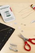 Kikkerland Emergency Sewing Kit