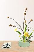 Kikkerland Mini Ikebana Kit