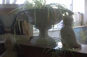 Small Urn