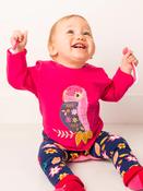 Layla the Parrot Set
