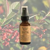 Woodland Warmth Grounding Room Spray