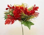 Christmas Pics image