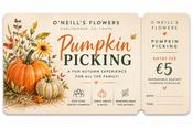 Pumpkin Picking 24th Oct 2026