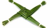 Rushes for St.Brigid's Day