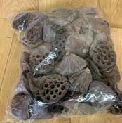 Lotus Heads image