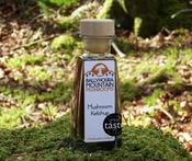 Ballyhoura Mushroom Ketchup