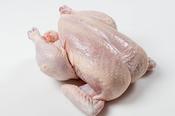 Whole Organic Chicken