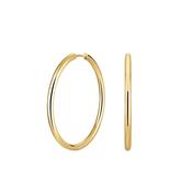 Fine Big Hoops image