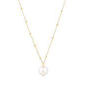 Pearl Drop Necklet