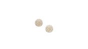 Pearl Pave Studs image