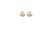 9ct Gold Pearl &amp; Crystal Fan Stud Earrings image