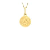 Angel Medal Necklace image