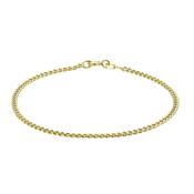 9CT Hollow Curb Chain Bracelet