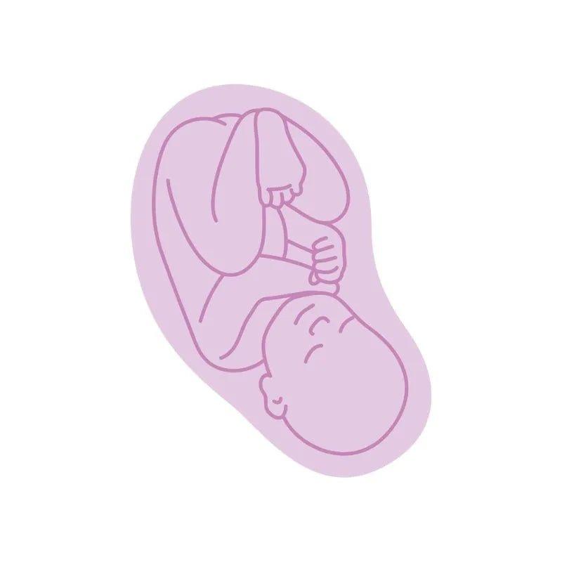 Proceive Pregnancy Trimester 3 - 60 Capsules | 28 Nutrients, Iron, Vitamin D3, Folic Acid | Supports Fertility