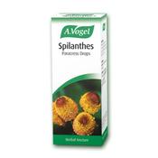 A Vogel Spilanthes Oleracea (Paracress) 50ml