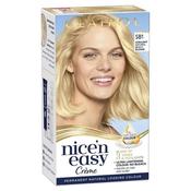 Clairol Nice n Easy SB1 Ultra Light Natural Beach Blonde Permanent Hair Dye image