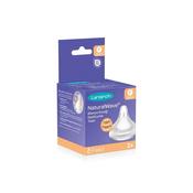 Lansinoh Natural Wave Teats Fast - 2 Piece