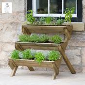 Stepped Herb Planter image