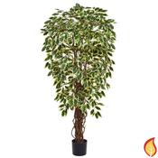 120cm (4ft) Natural Tree Trunk Ficus Liana - Variegated (Fire Resistant) image