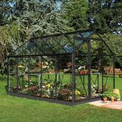 Halls Popular Greenhouse - Black - Horticultural - 610 - 6ft x 10ft