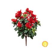 35cm Plants Azalea Bush - Red (UV Resistant) image