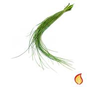 60-65cm Grass Bear Green (Fire Resistant) image