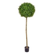 150cm Topiary New Buxus Ball Tree (UV Protected)