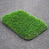 Boyne - Grass Sample - 20cm x 30cm
