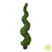 5ft (150cm) Topiary Buxus Boxwood Spiral (UV Resistant)