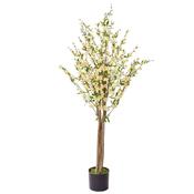 150cm (5ft) Cherry Blossom with Natural Tree Trunk  - White