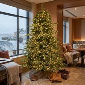 8ft (240cm) Everglen Bellinter Premium Pre-Lit Artificial Christmas Tree with 5,150 Warm White LEDs