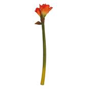 68cm Amaryliss French Orange