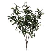 85cm MultiBranch Olive Branch