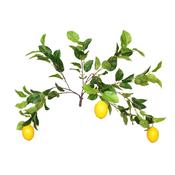 85cm MultiBranch Lemon Branch x 3 image