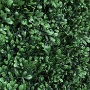 Green Topiary Wall Panel 1m x 1m