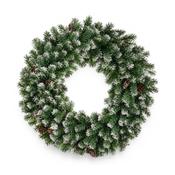 100cm Frosted Wreath with Cones image