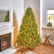 7.5ft (225cm) Newberry Spruce Pre-Lit Tree with Warm White LEDs