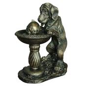 Solar Dog at Fountain image