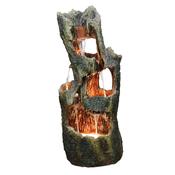 5 Fall Open Tree Trunk image
