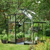 Halls Qube Greenhouse - 66 - 6ft x 6ft