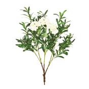 85cm MultiBranch Ruscus Blossom Branch – White image