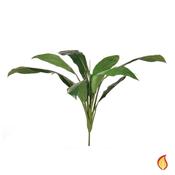 74cm Cordyline Green Foliage (Fire Resistant) image