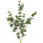 3.5ft (100cm) Eucalyptus Green image