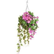 Petunia Pink Small