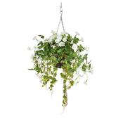 Medium Hanging Basket Petunia - White