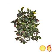 37cm Mini Melon Trail (Fire Resistant &amp; UV Protected) image